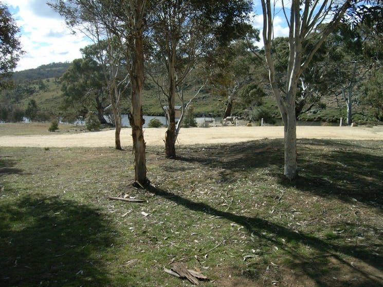Trees with dirt path and water body behind