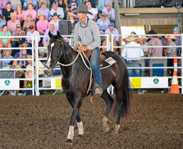 Dalby Australian Stock Horse Sale and Campdraft Incentives