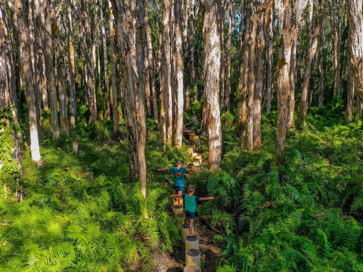 Trail Trail