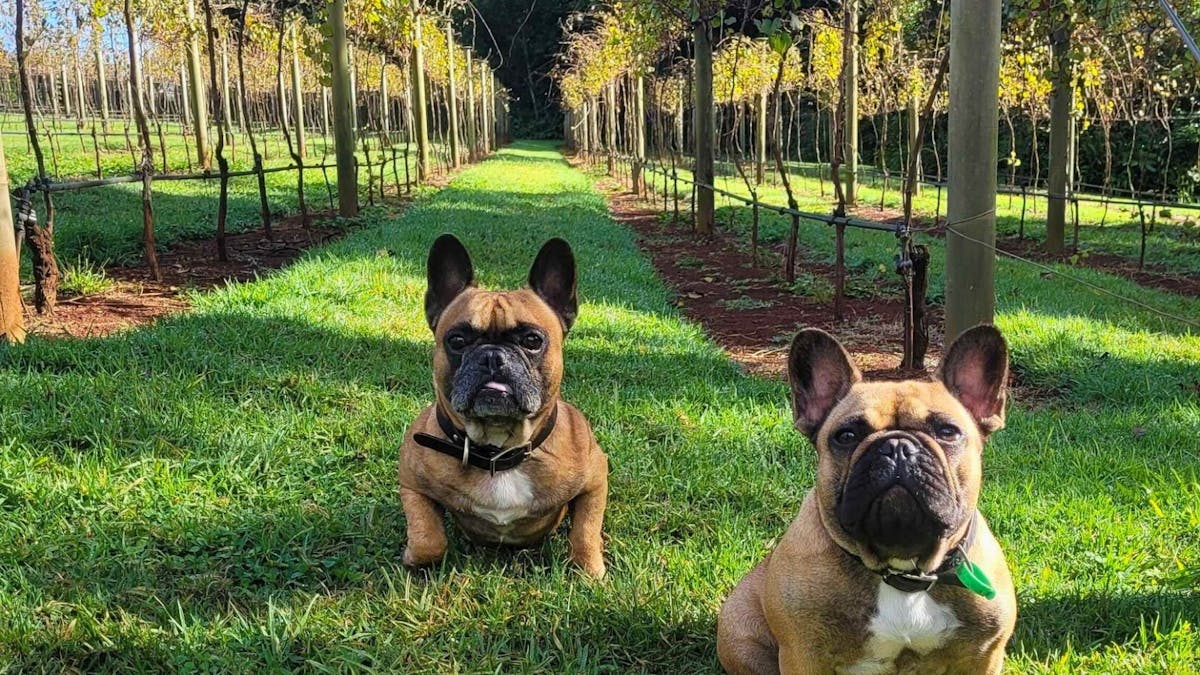 We're pet friendly!