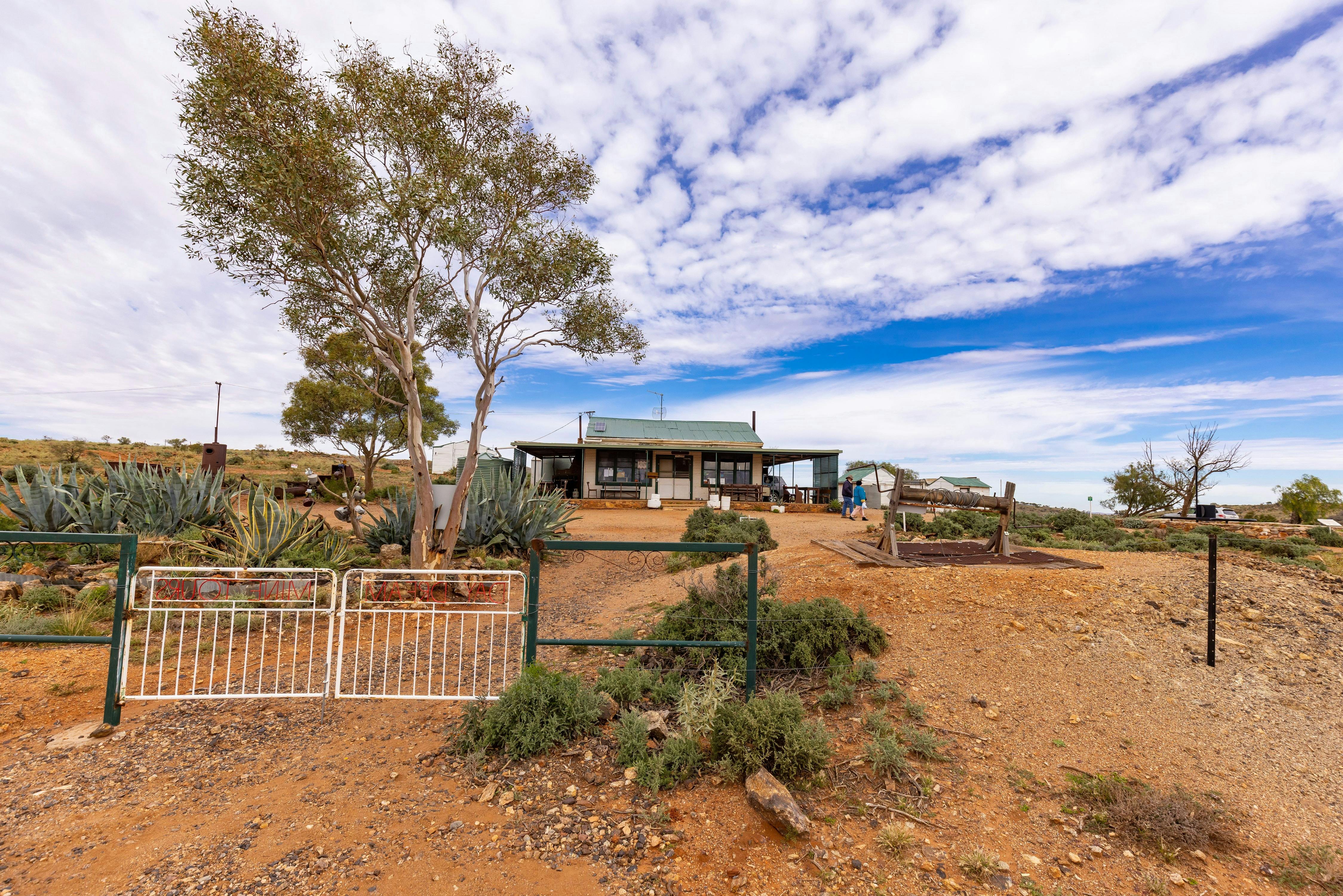 데이 드림 마인 브로큰 힐
