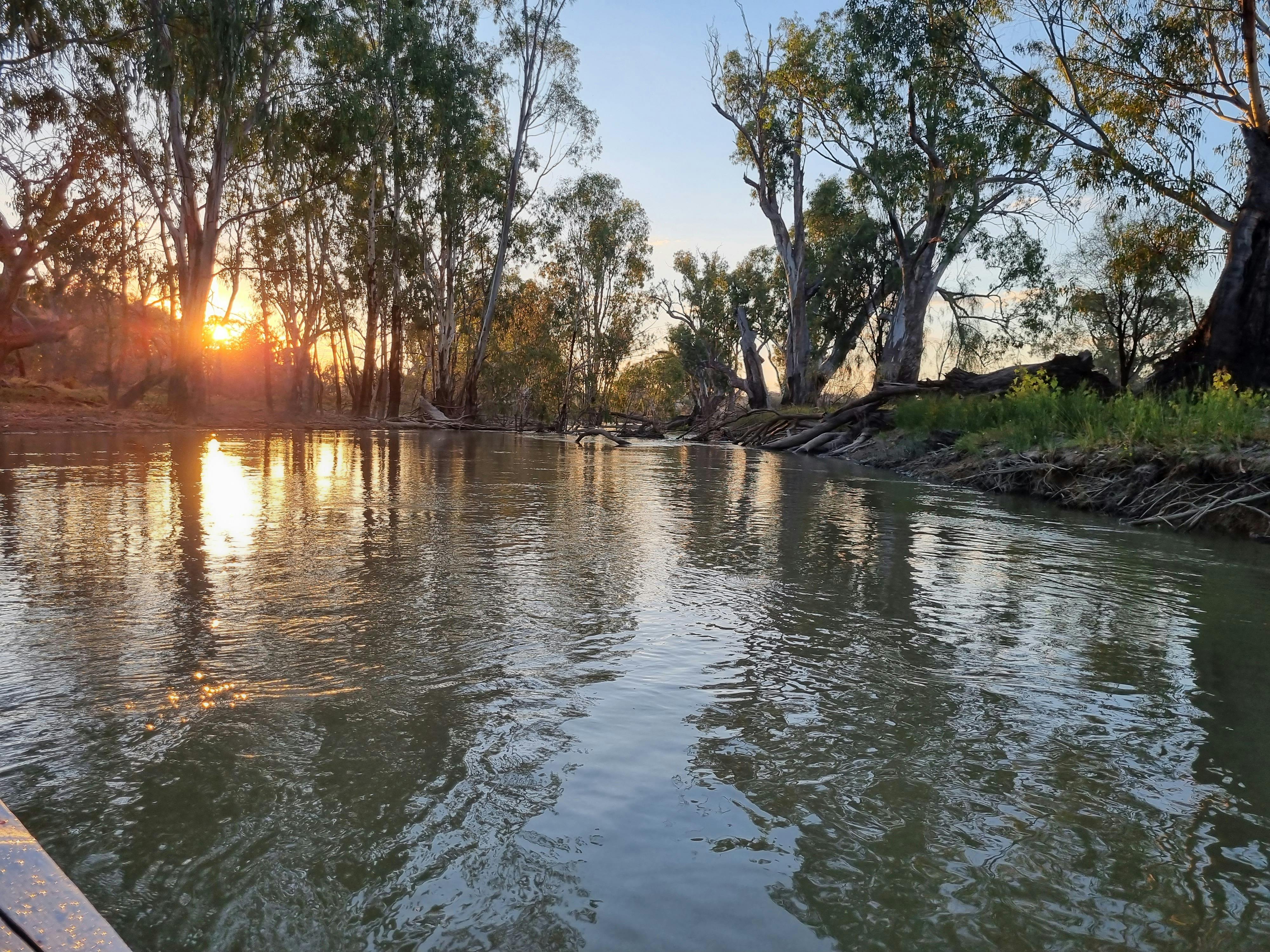 Sun setting kayaking in Banrock Creek