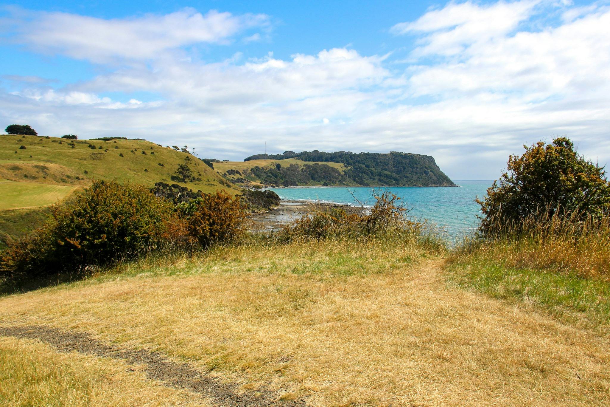 Fossil Bluff, Wynyard