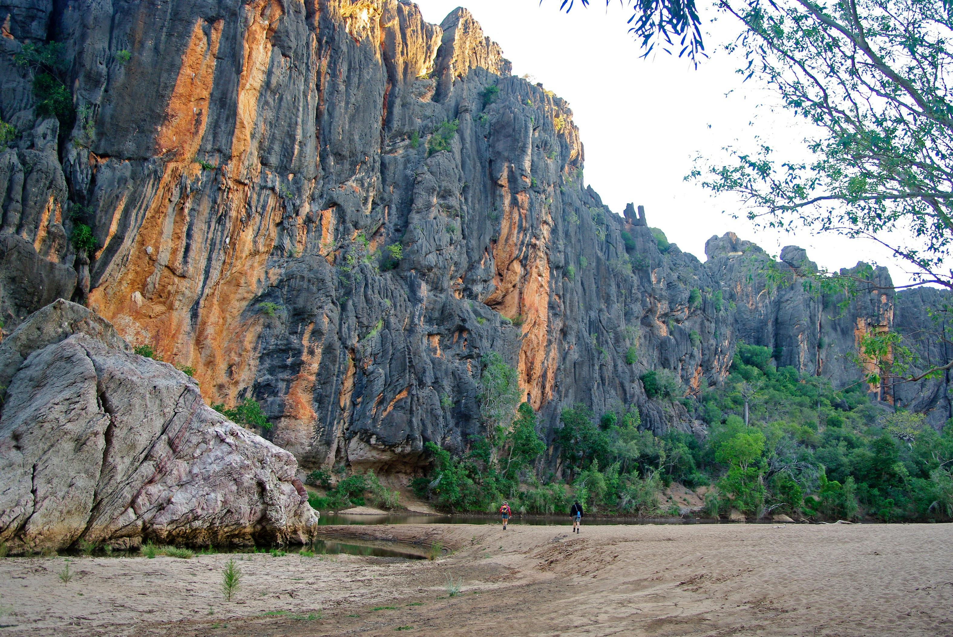 Coates Wildlife Tours