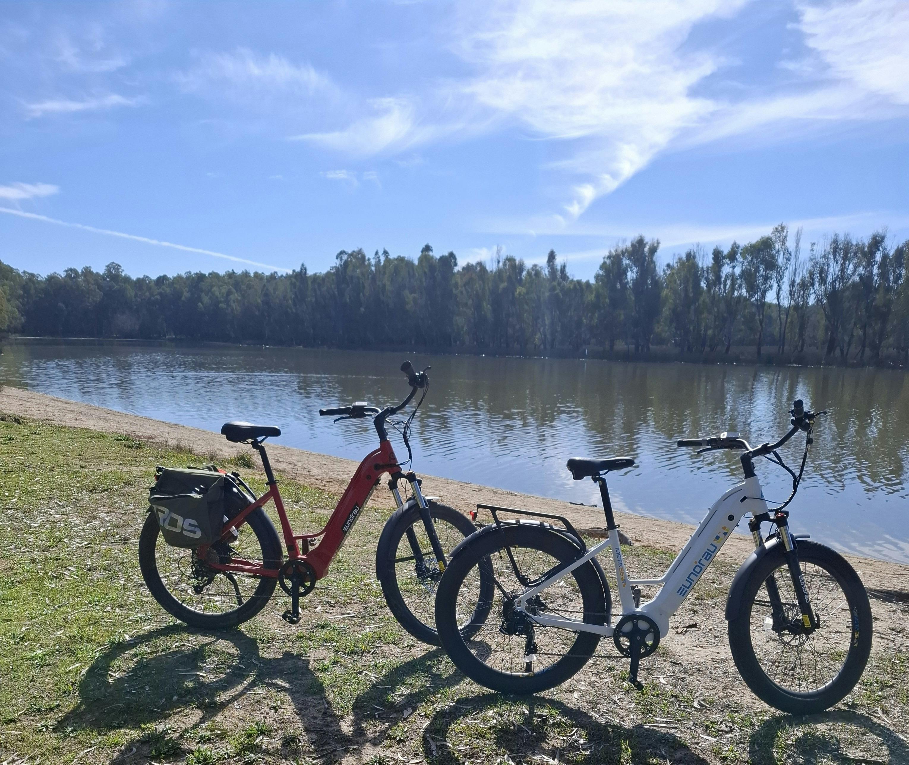 Bikes at Lake Moodemere