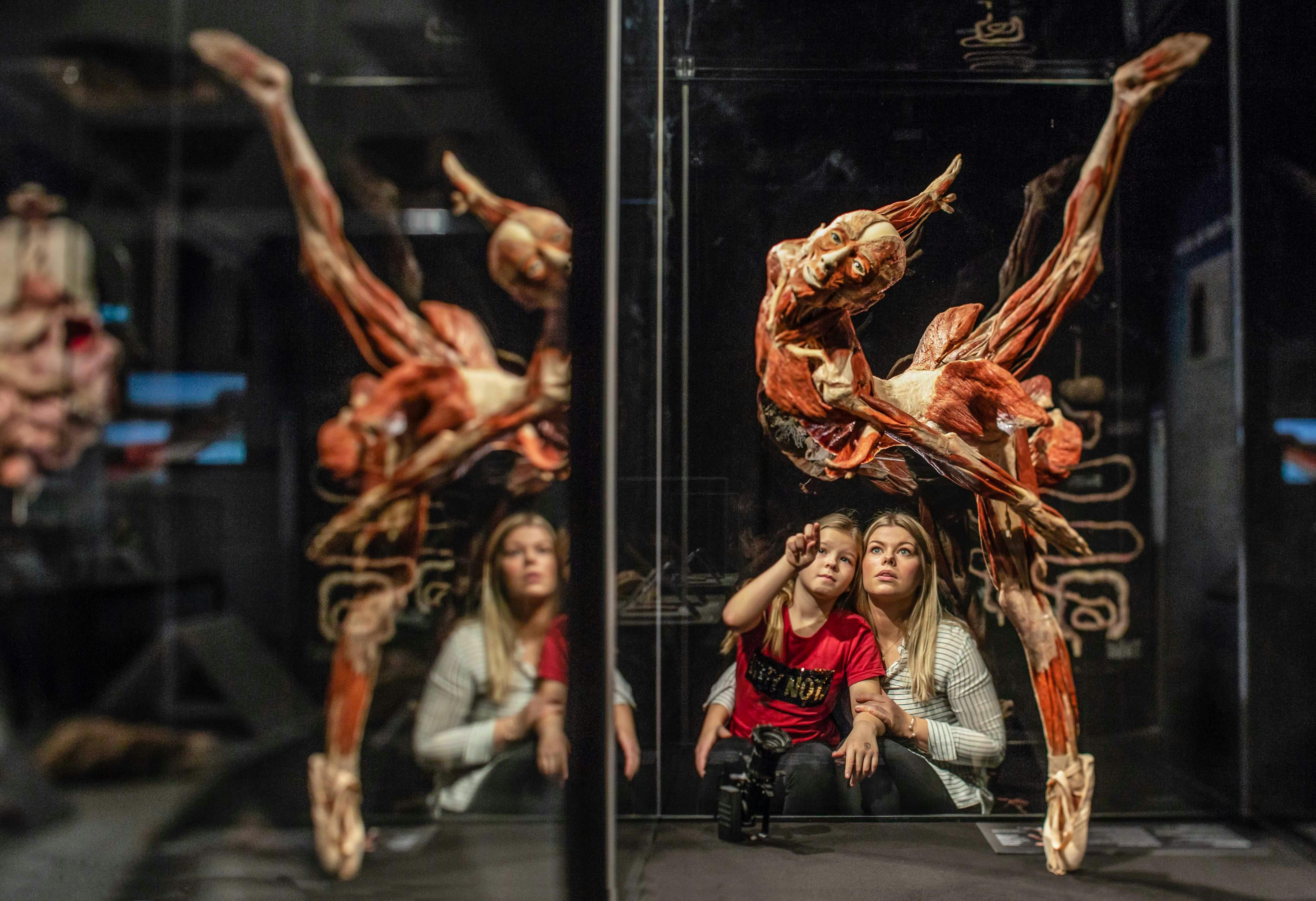 BODY WORLDS exhibition