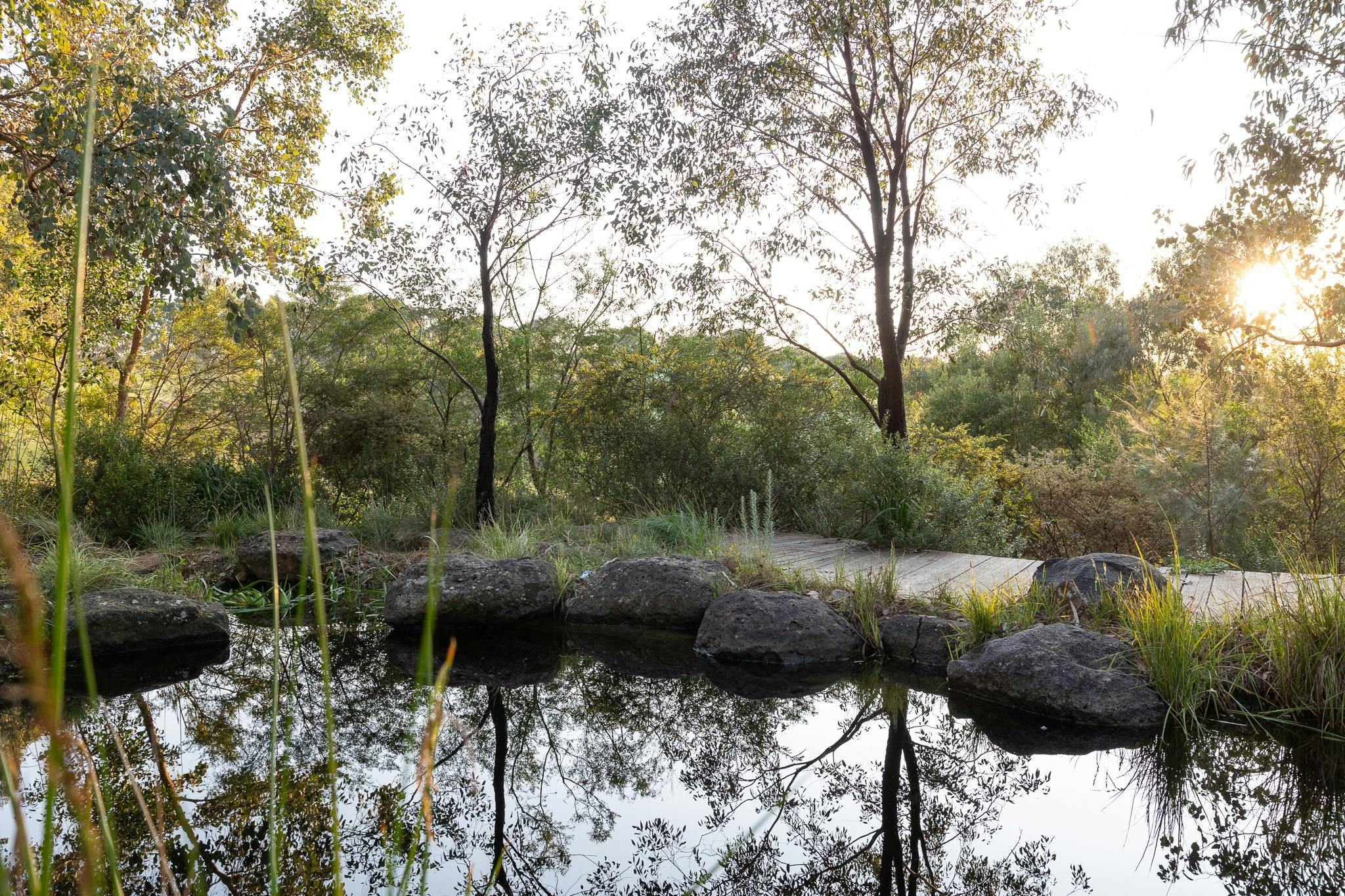 Open Gardens Victoria - Sam Cox: Wattle Glen Garden, looking across the pond