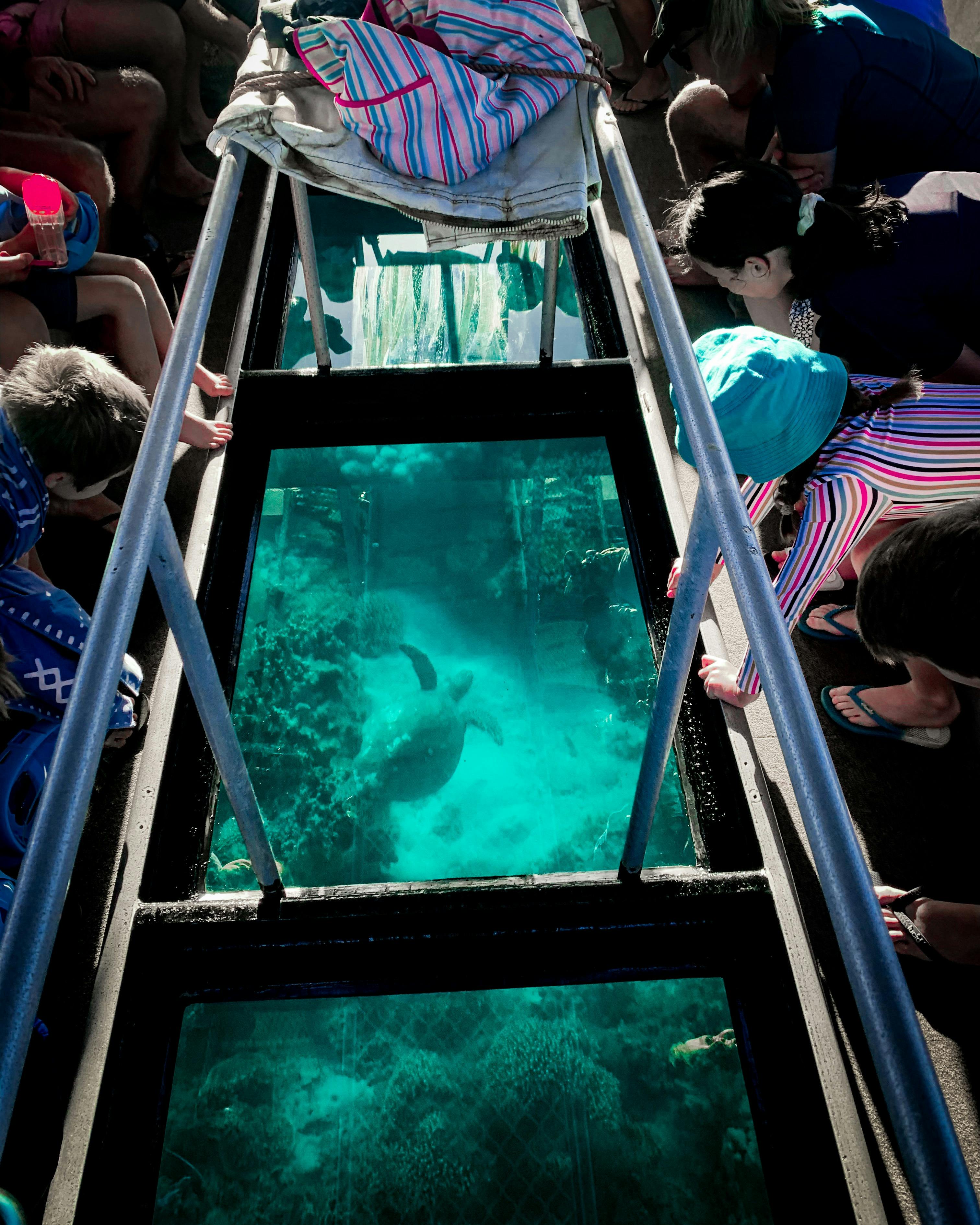 Ningaloo Ecology Cruises Glass Bottom Boat, Exmouth, Western Australia