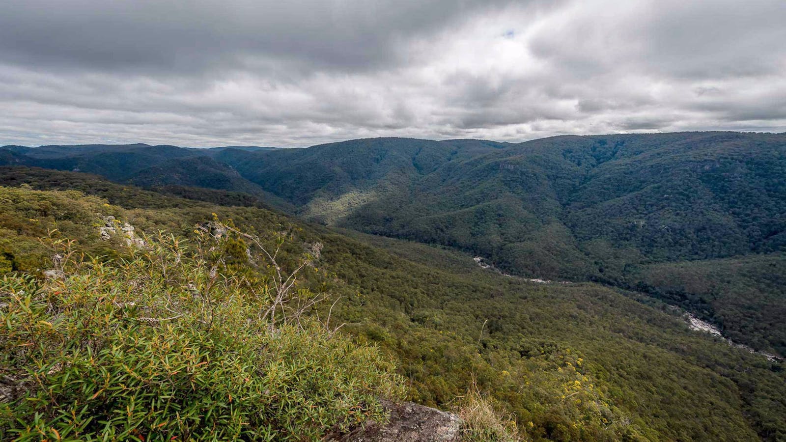 Tommys Rock Lookout and Walking Track