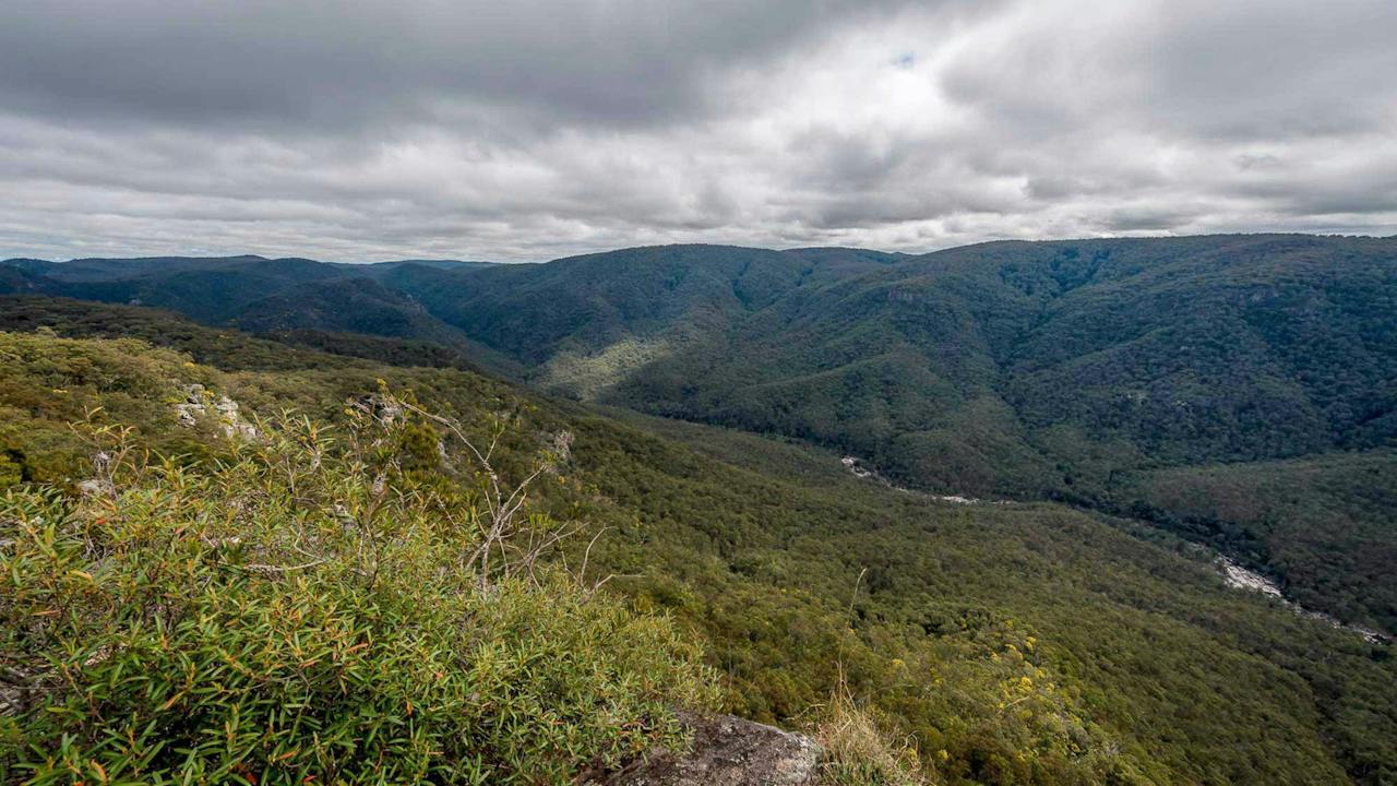 Tommys Rock Lookout and Walking Track