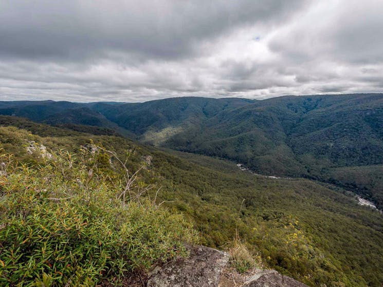 Tommys Rock lookout and walking track, Mann River Nature Reserve. Photo: John Spencer