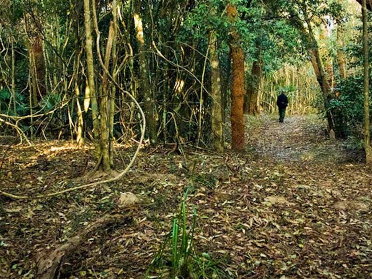 Sand track walk (north)