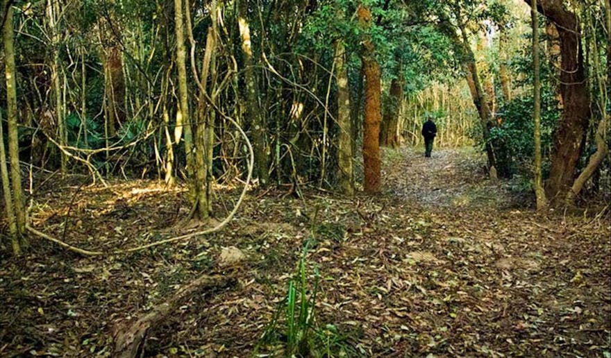 Sand track walk (north)