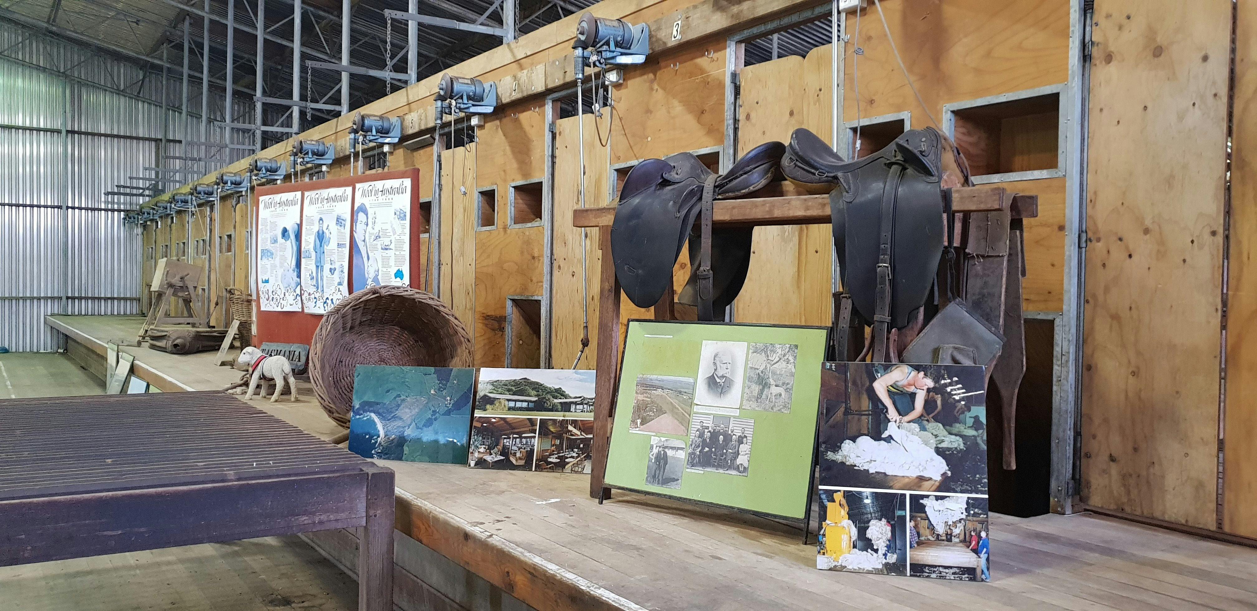 Shearing Stands Woolnorth
