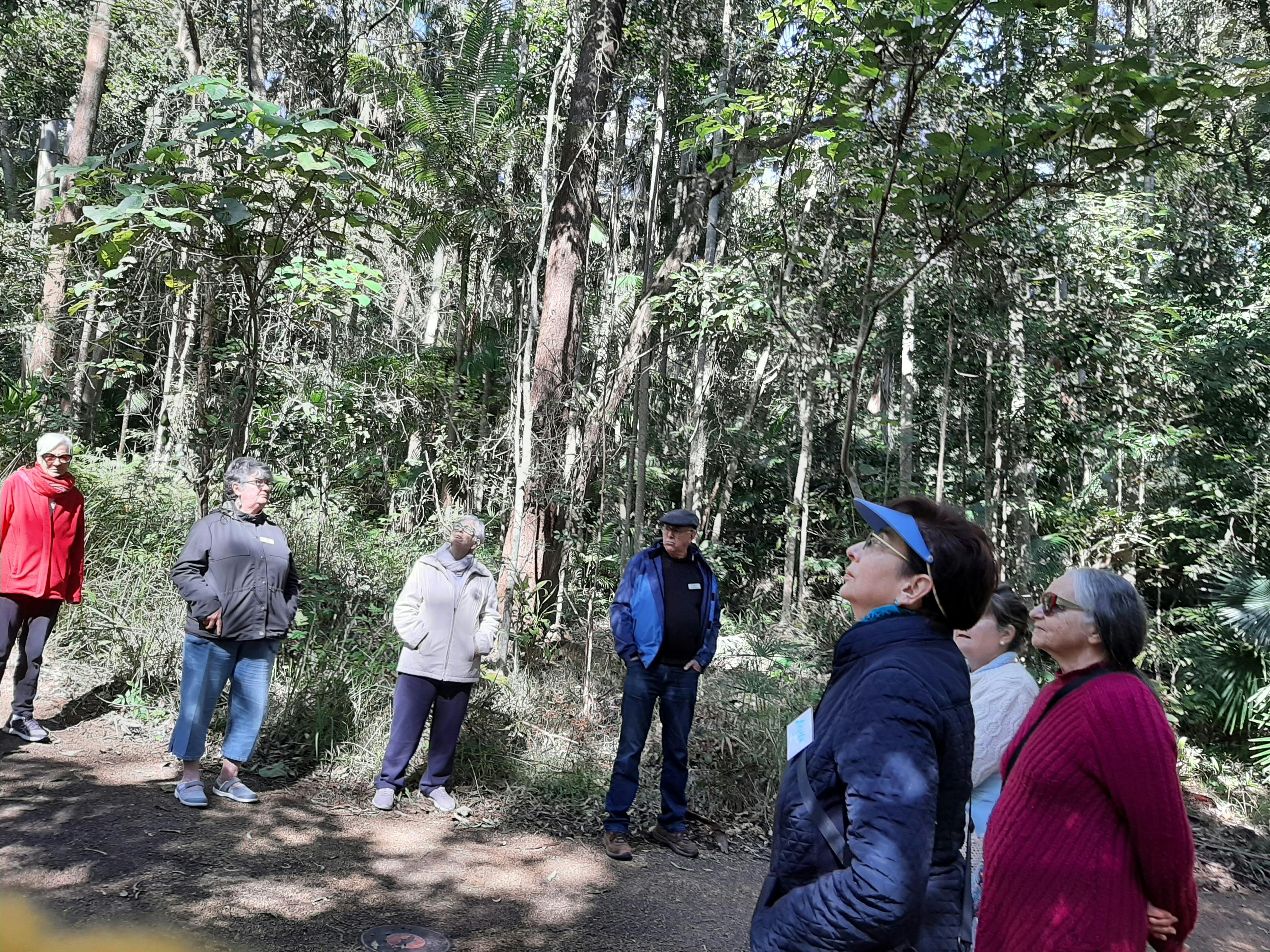 Group of adults in forest pausing to reflect
