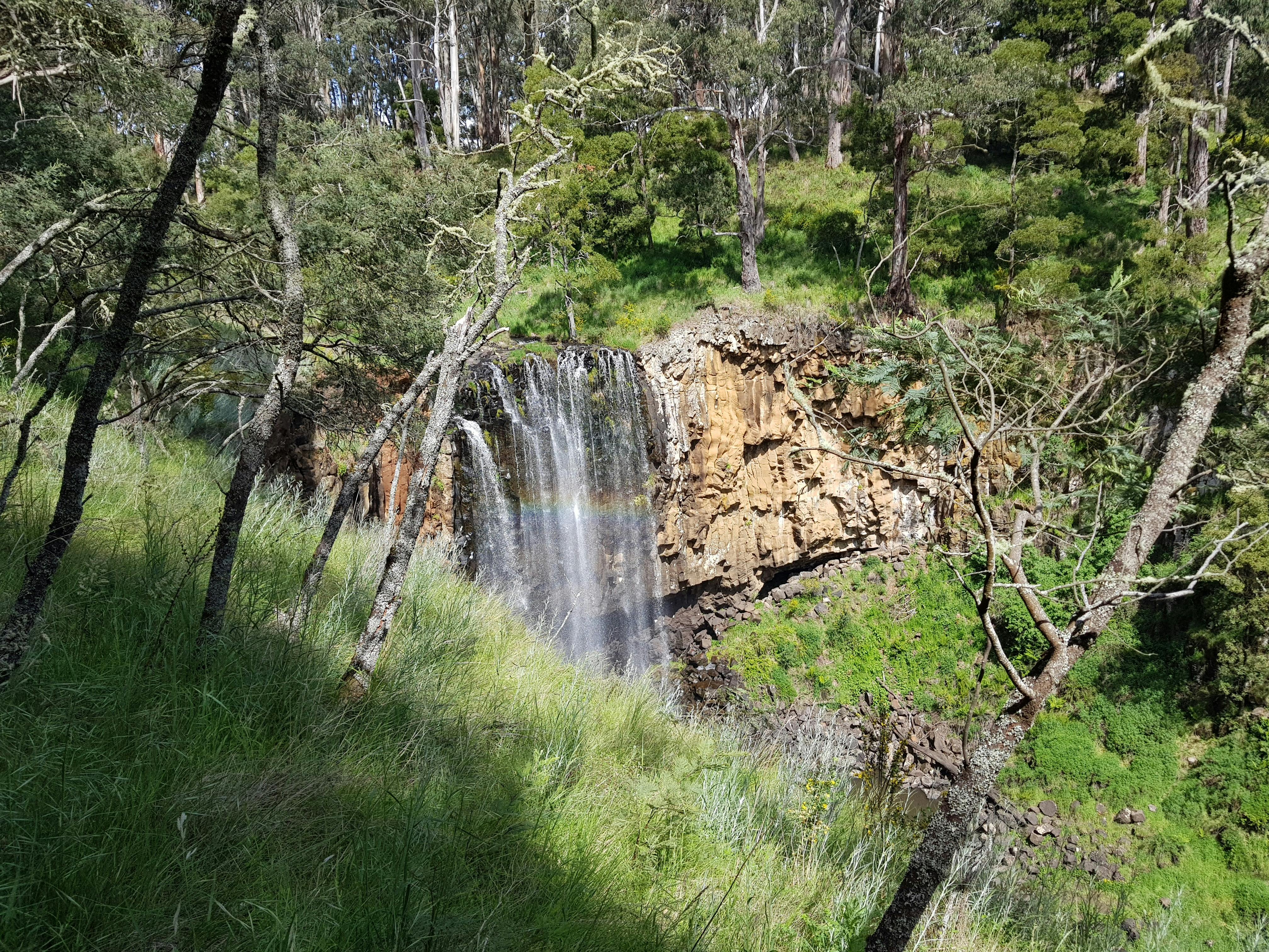 Trentham Falls