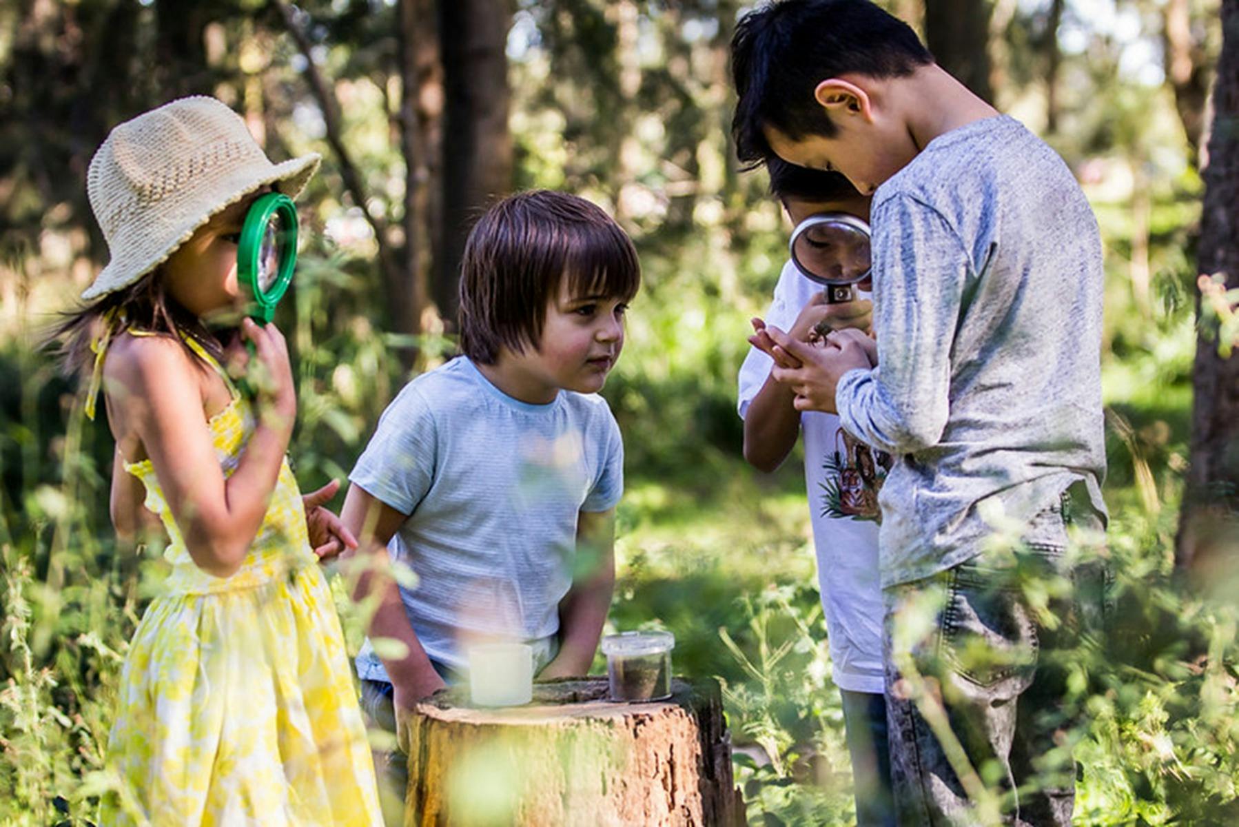Children exploring with magnifying glasses