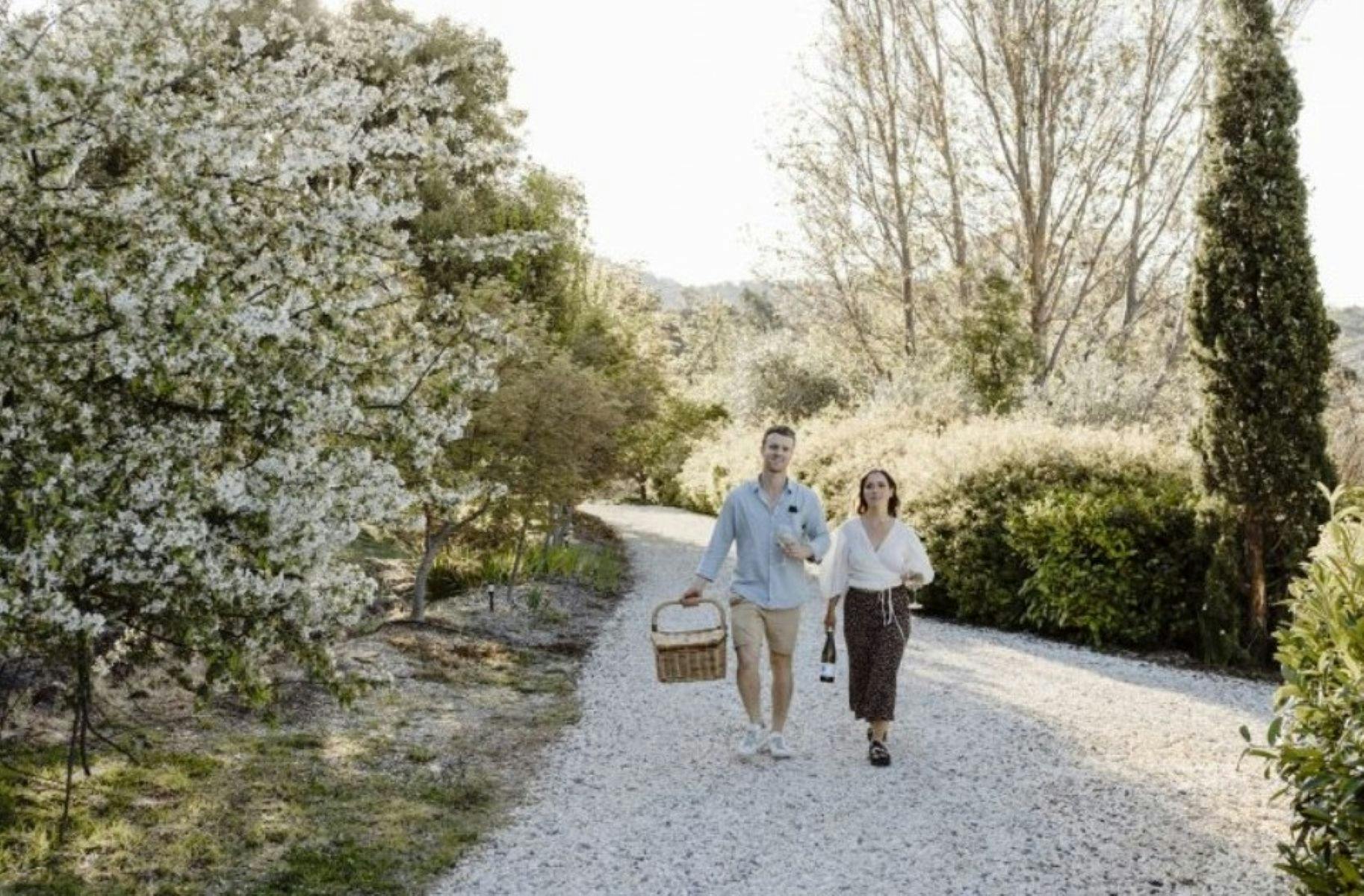 Wander & Graze Picnic