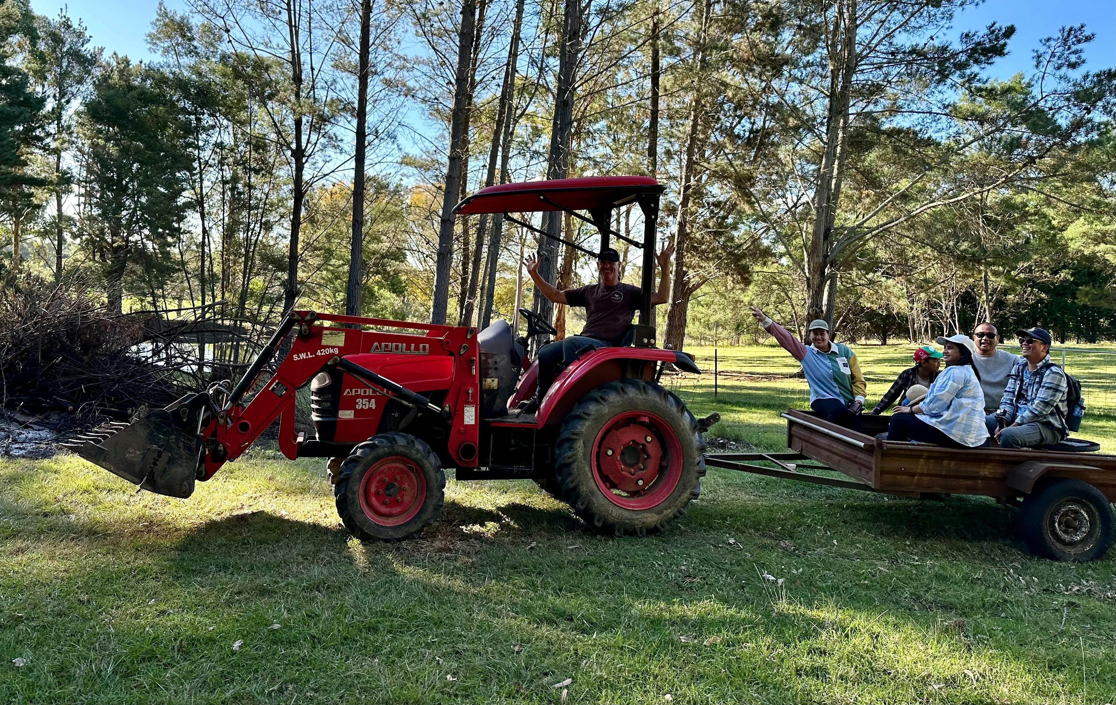 Pine Ridge Miniature Donkeys