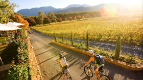 Murray to Mountains Rail Trail