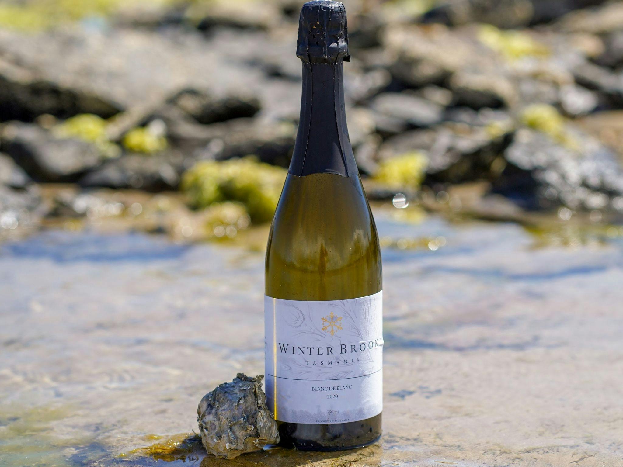 bubbles by the sea