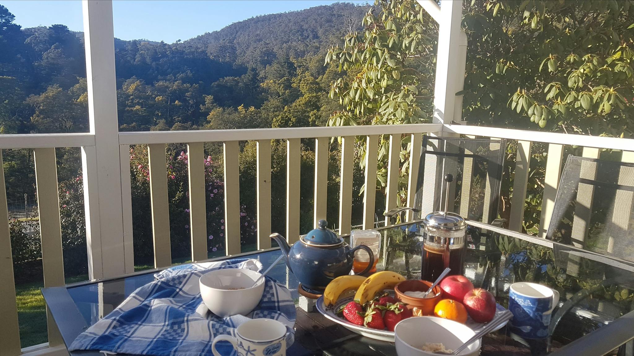 View over Blue Derby MTB Trails