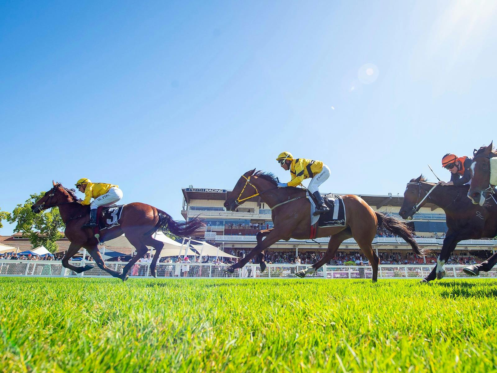 Racing at Ascot Racecourse