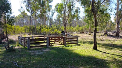 Visitor free-to-use horse yards at Paling Yards