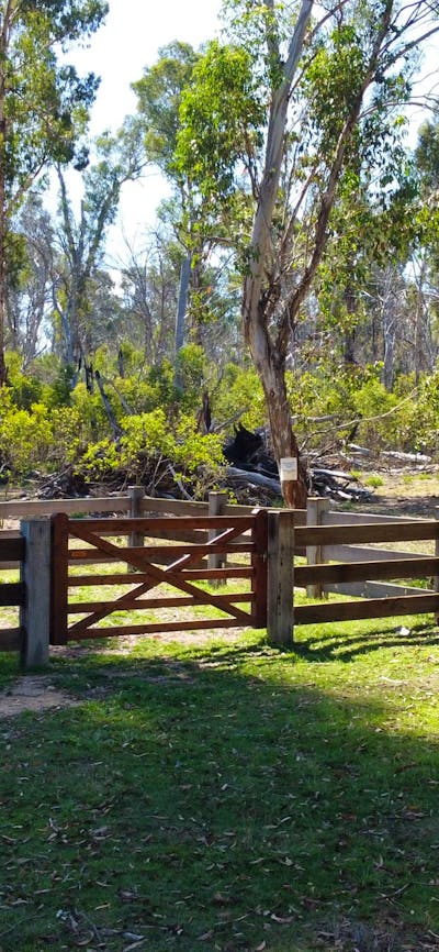 Visitor free-to-use horse yards at Paling Yards