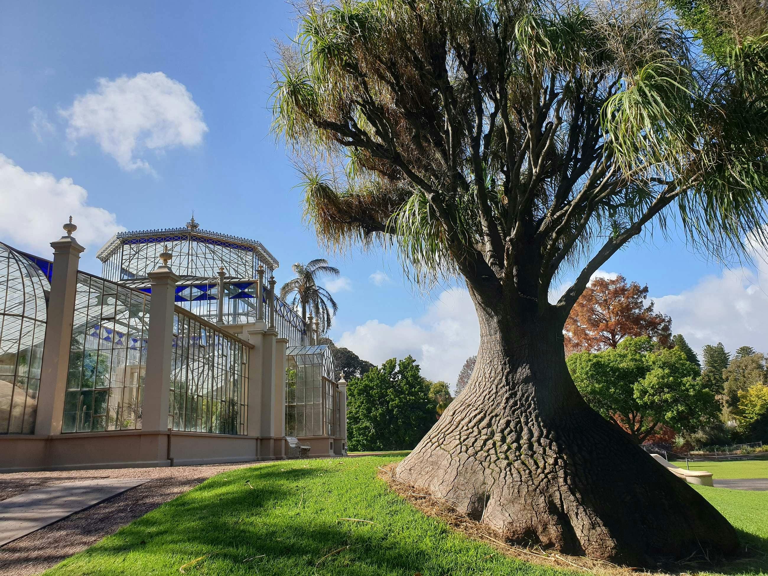 1875 Palm House