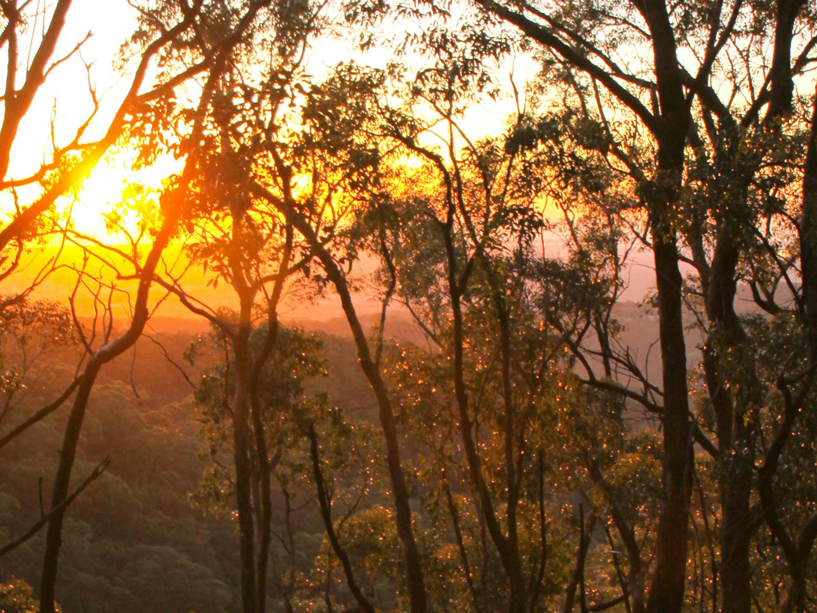 Cleland National Park