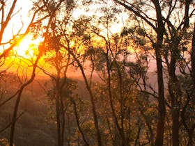 Cleland National Park