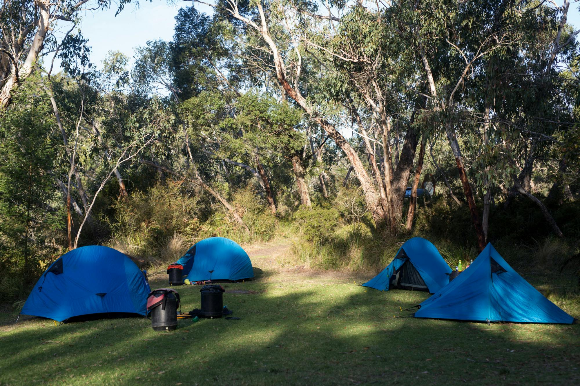 Anglesea Perfect for a natural adventureGlenelg River Canoe & Hike