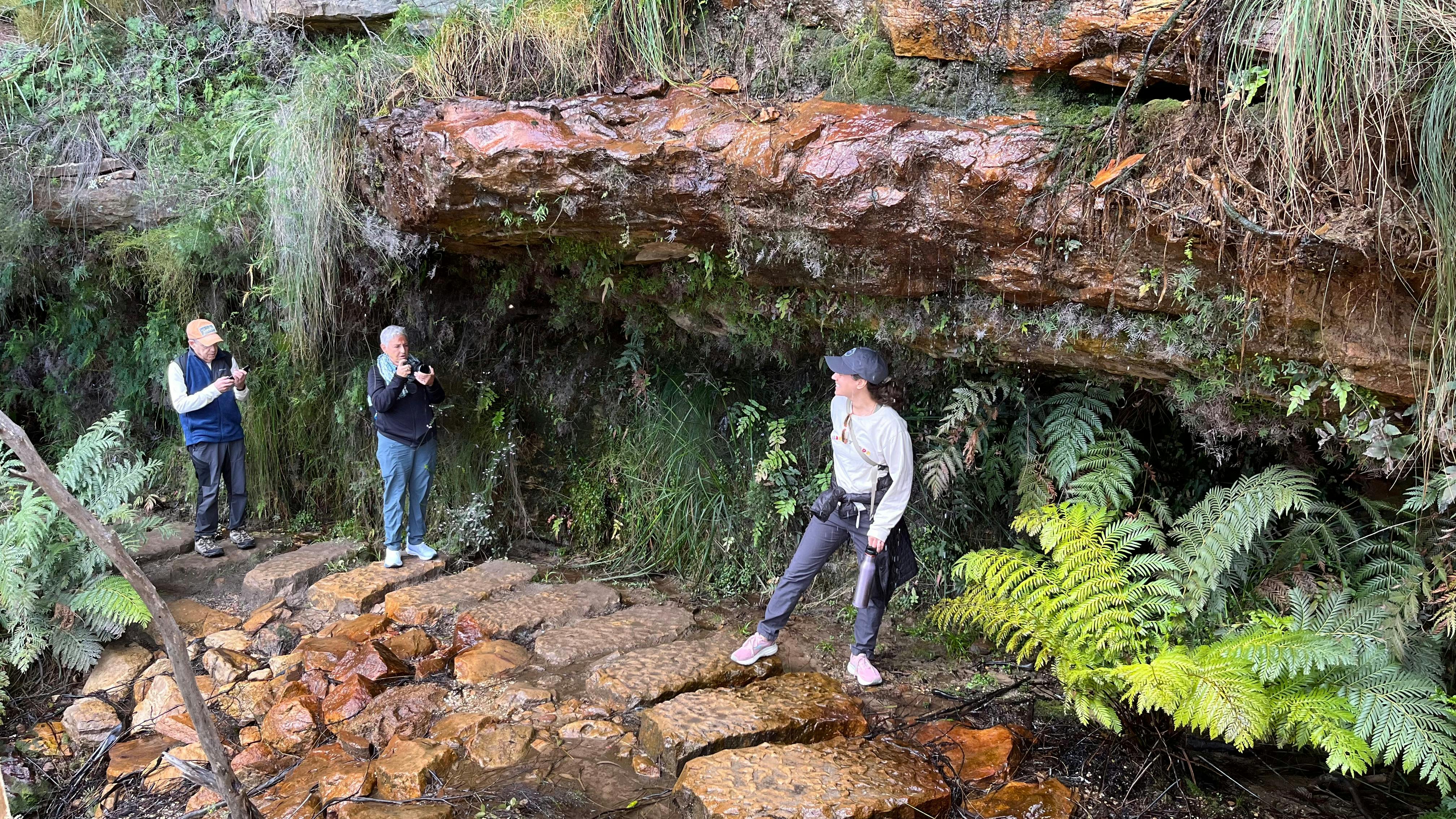 People walking the Undercliff Walk