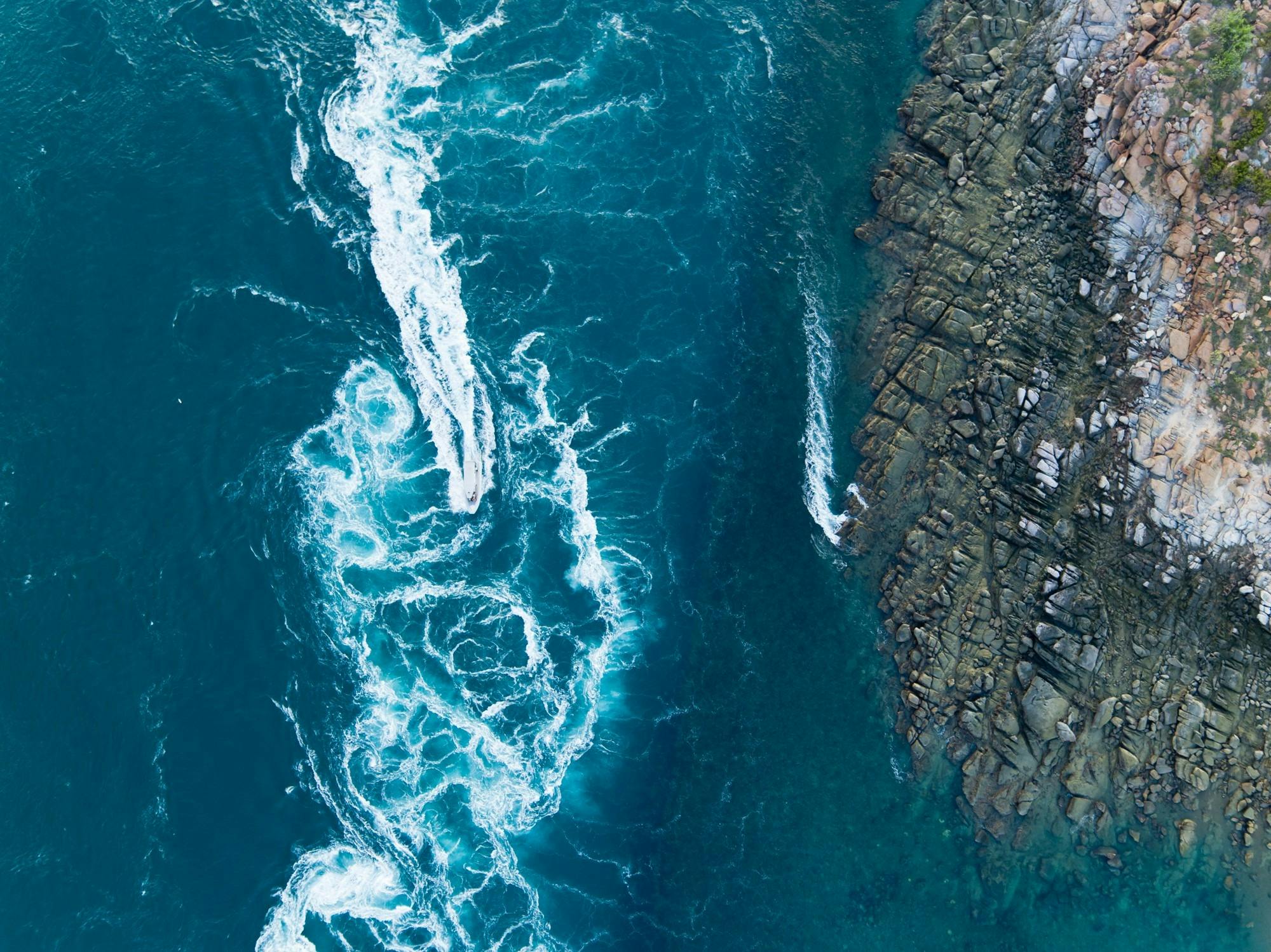 Giant Tides Sea Safari