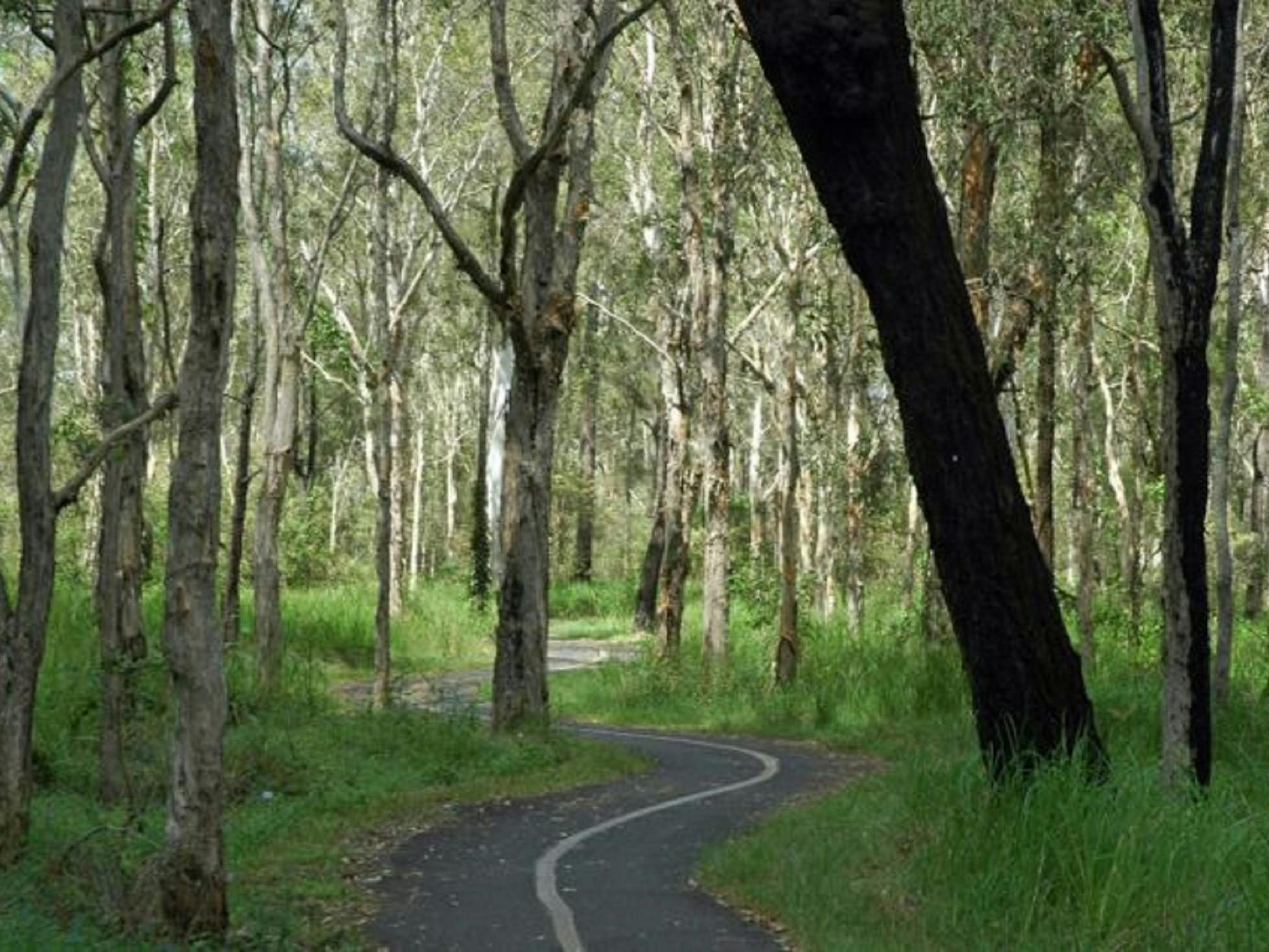 Boondall Wetlands Boondall Wetlands