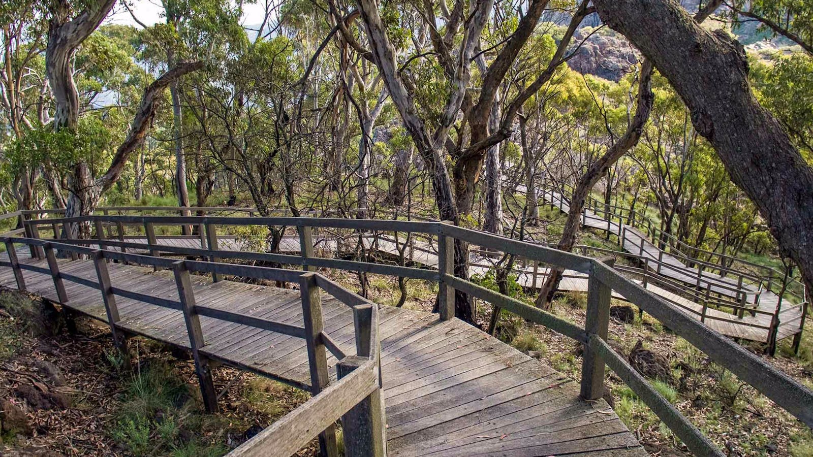 Governor Summit (Corrunbral Borawah) Walking Track