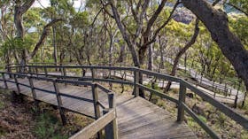 Governor Summit (Corrunbral Borawah) Walking Track