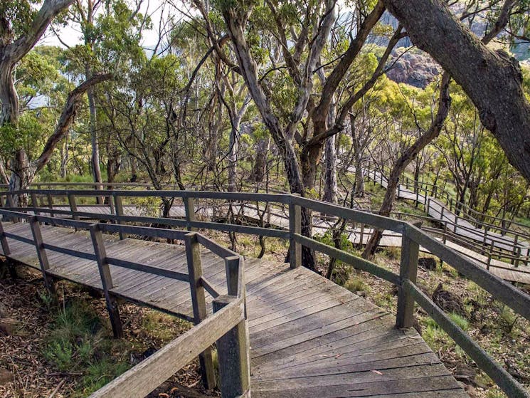 Governor Summit (Corrunbral Borawah) walking track, Mount Kaputar National Park. Photo: Boris Hlavic