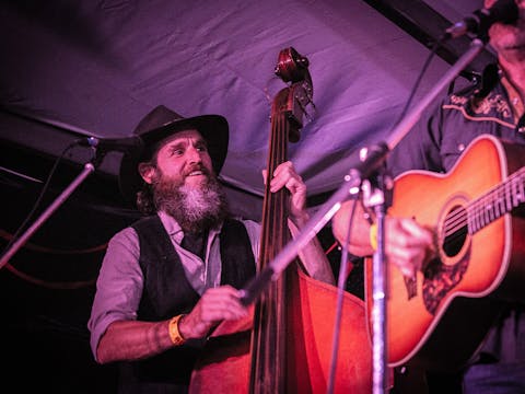 St Albans Folk Festival