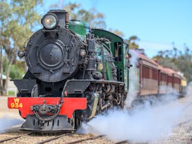 Steam Train - Pichi Richi Heritage Railway