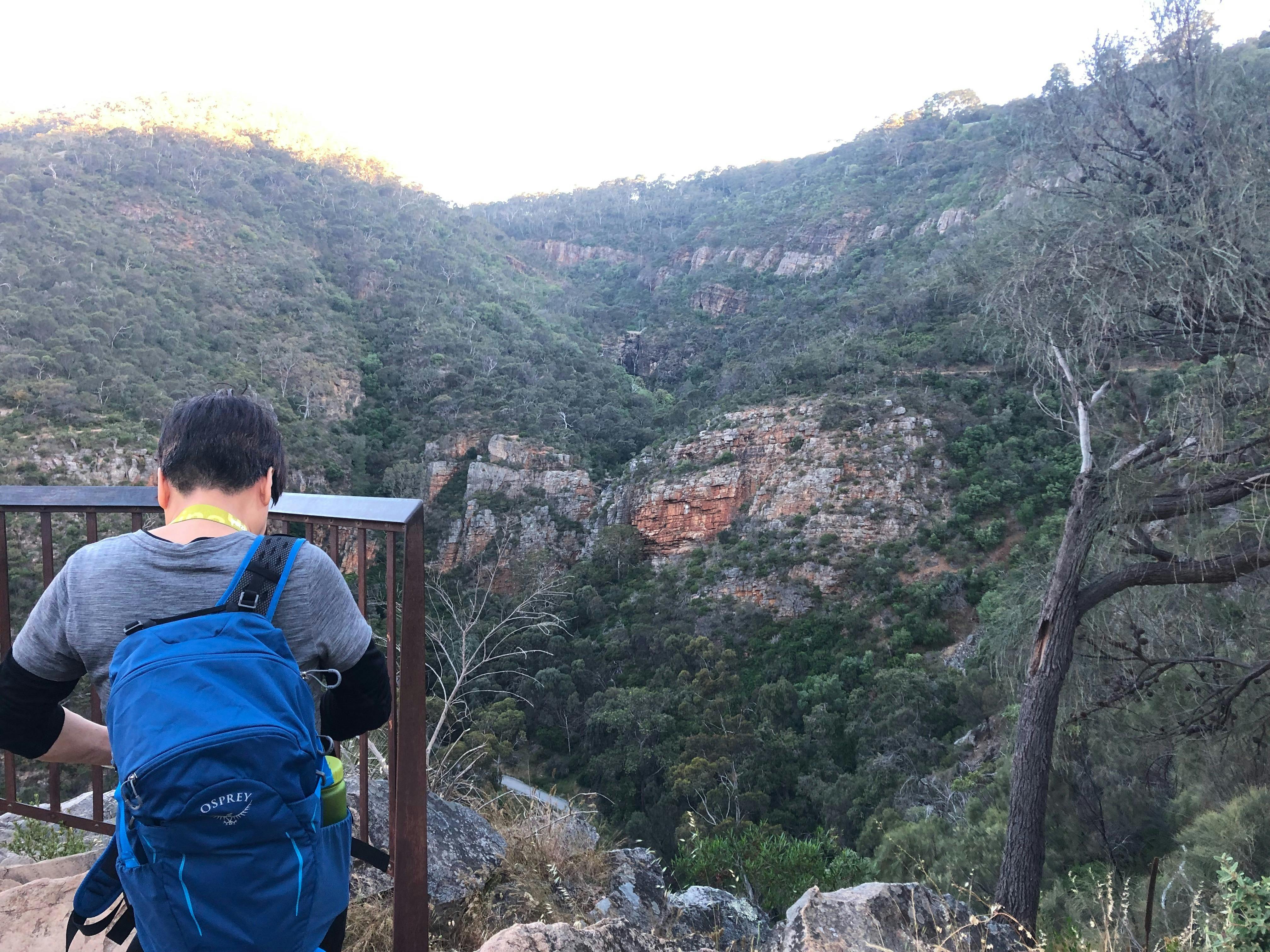 Yurrebilla Trail self-guided walk