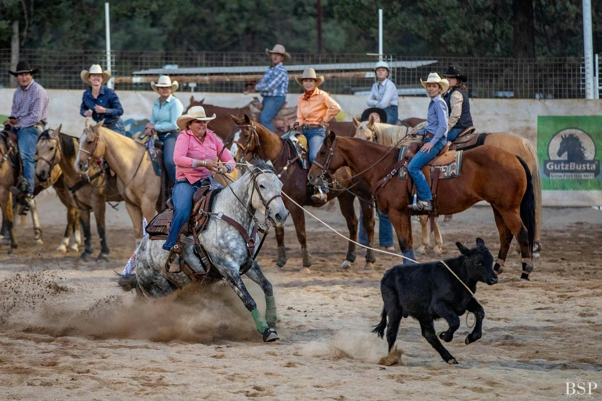 lady on white horse roping a calf being watched by other contestants