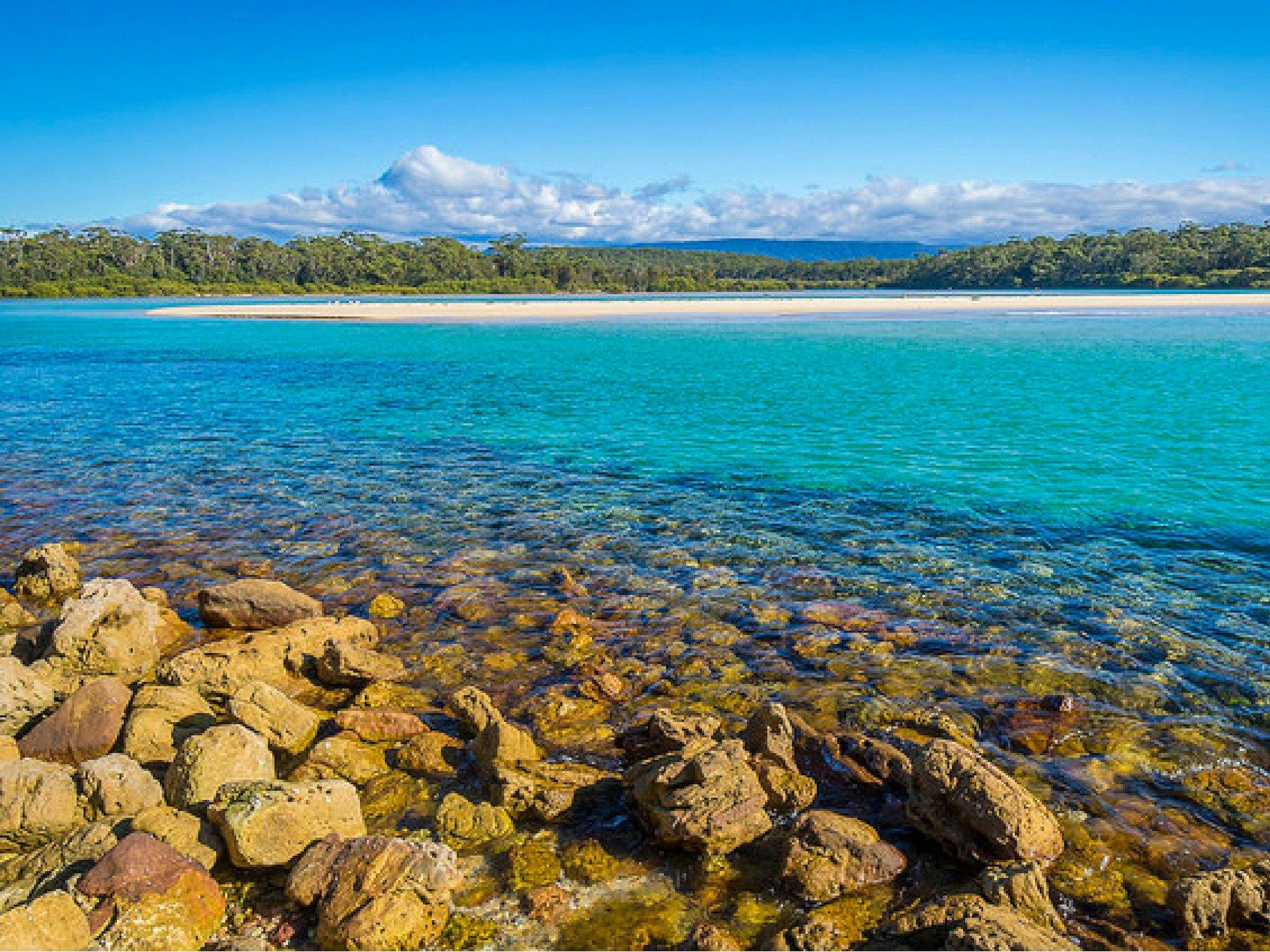 inlet, azure, bush, ocean