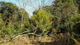 Clover Hill Trail
