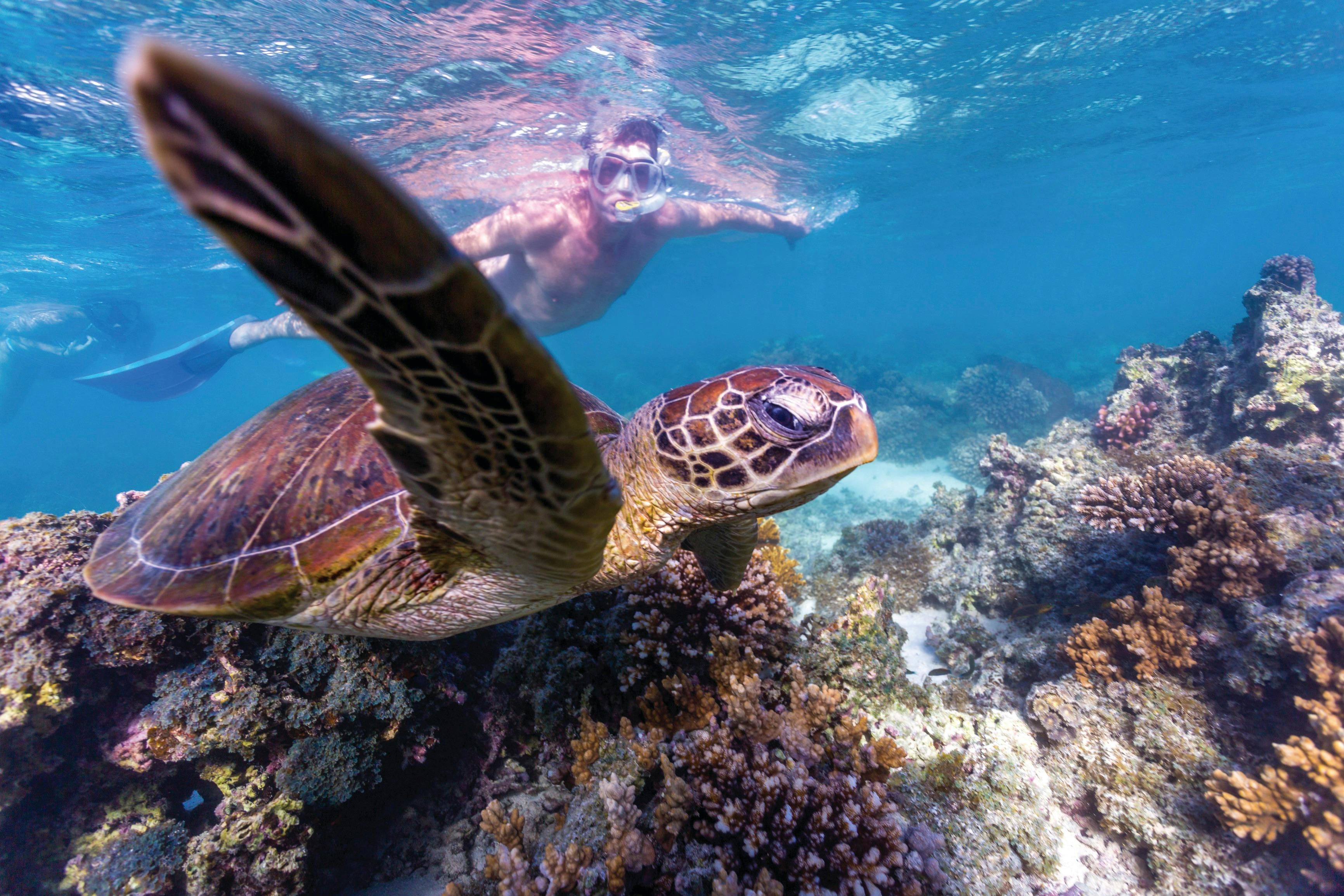 Coral Coast Wildlife, Coral Bay, Western Australia