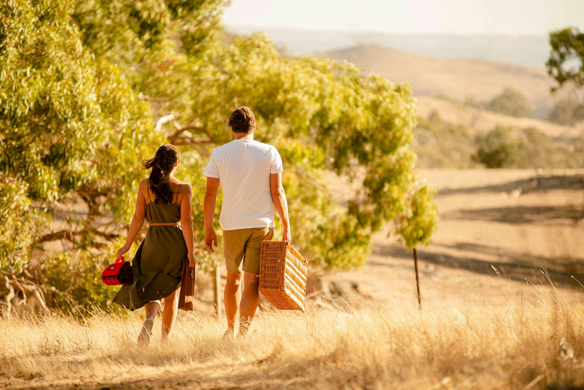 Outdoor live music event in the Barossa as part of a South Australian music festival.
