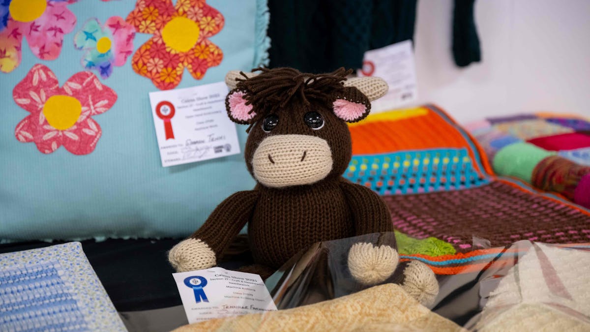 Craft & Needlework