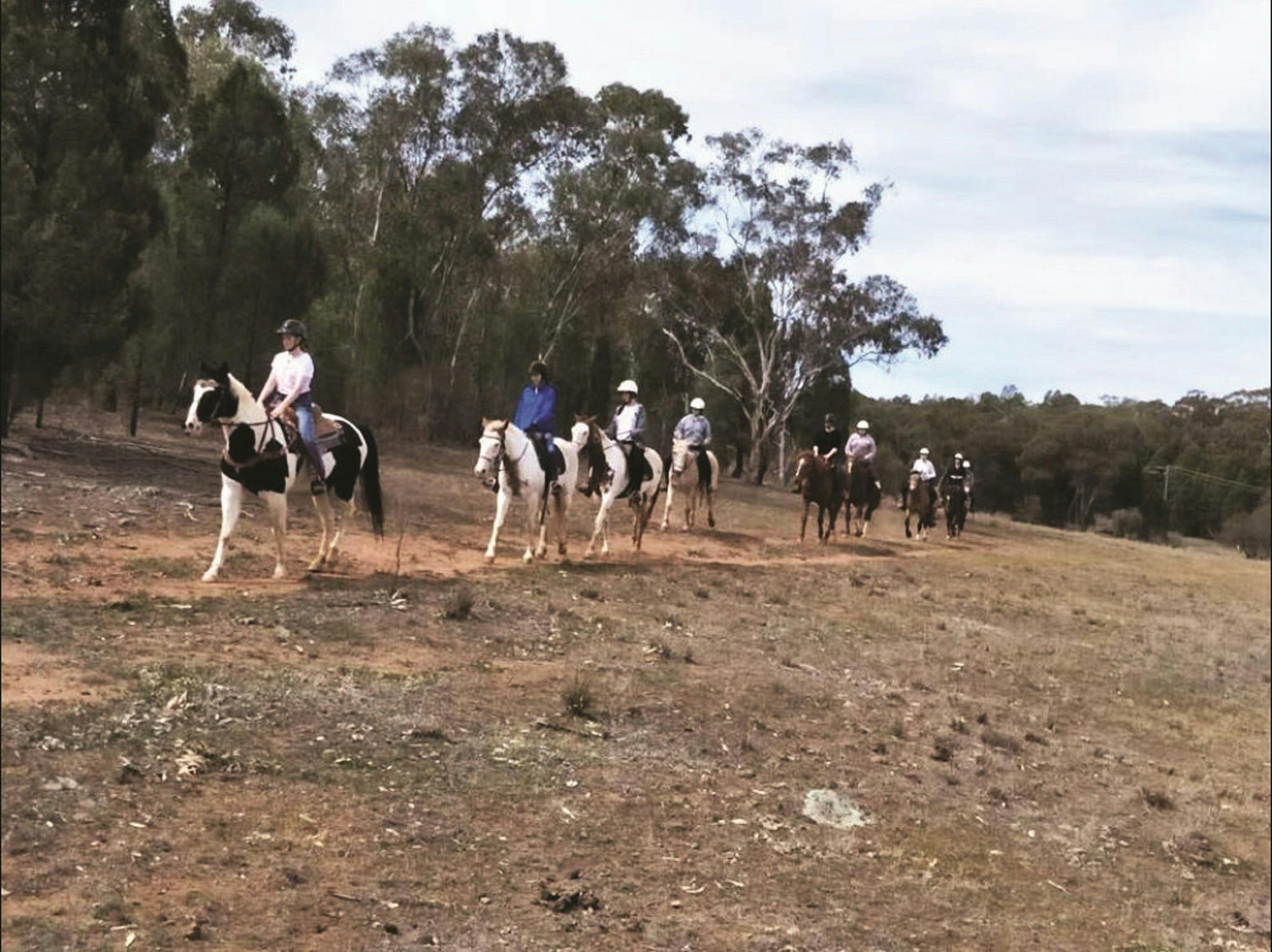 Western Plains Riding Centre