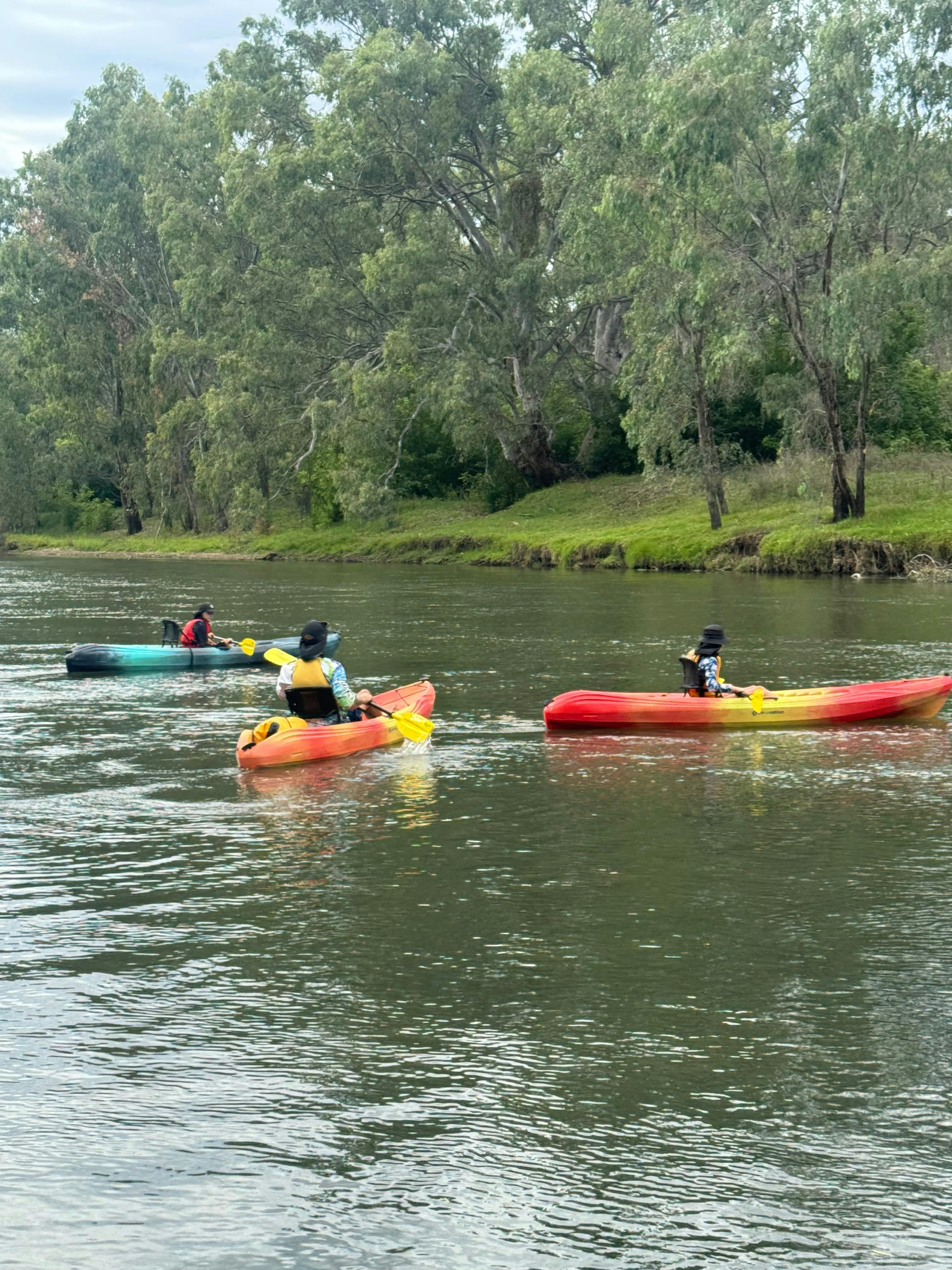 The Murray at doctors point